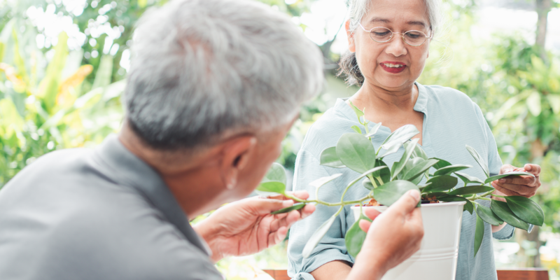 Green care activities